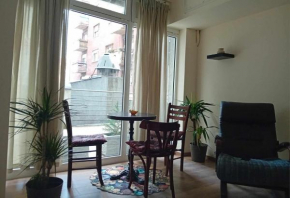 Apartman Dimitrijala 52